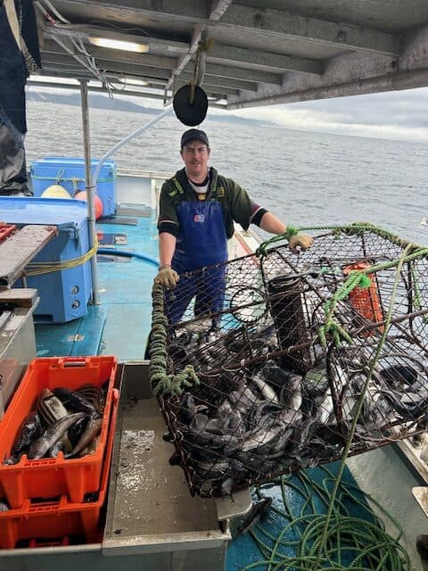 A man is holding a basket of fish on a boat.